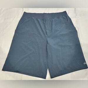 Professional Athletes Alo Repetition Performance Shorts
Blue- See Measurements